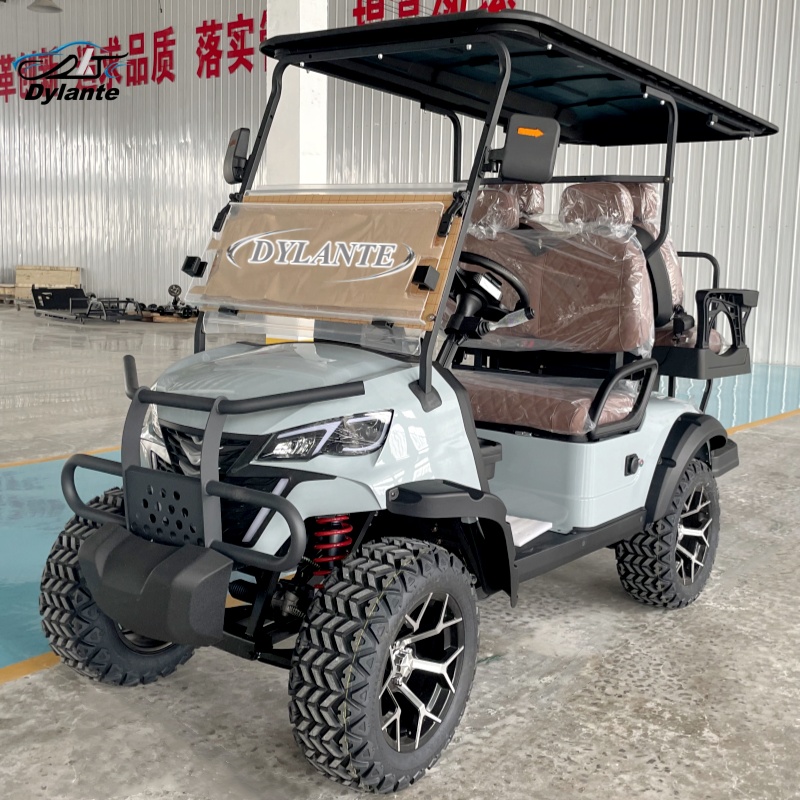 New 2+2 Seat Electric Lift Gol - Golf Equipment Lift 리뷰 및 가격