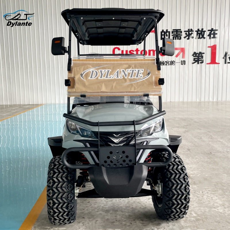 New 2+2 Seat Electric Lift Gol - Golf Equipment Lift 리뷰 및 가격