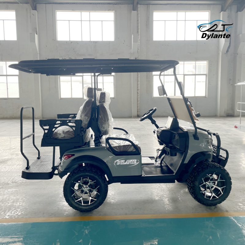 New 2+2 Seat Electric Lift Gol - Golf Equipment Lift 리뷰 및 가격