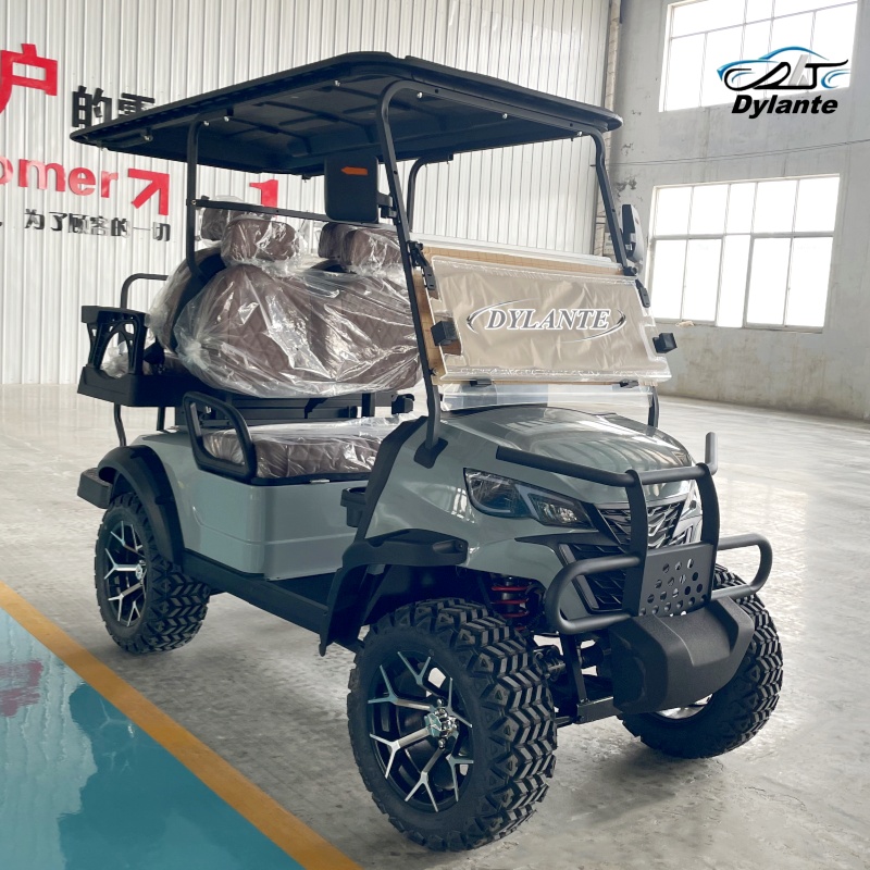 New 2+2 Seat Electric Lift Gol - Golf Equipment Lift 리뷰 및 가격